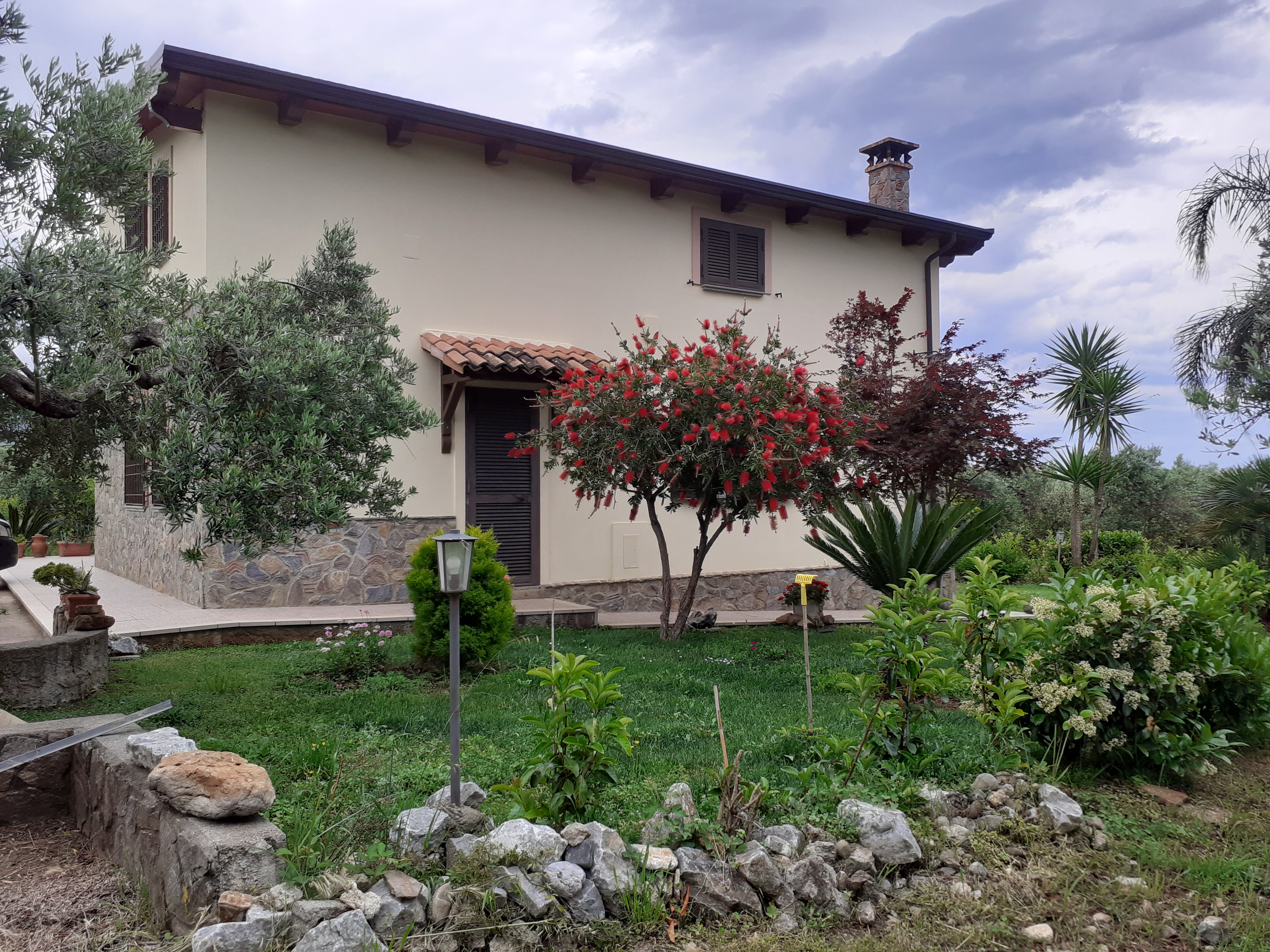 "Uliveto" maison au milieu d'un verger d'oliveraies