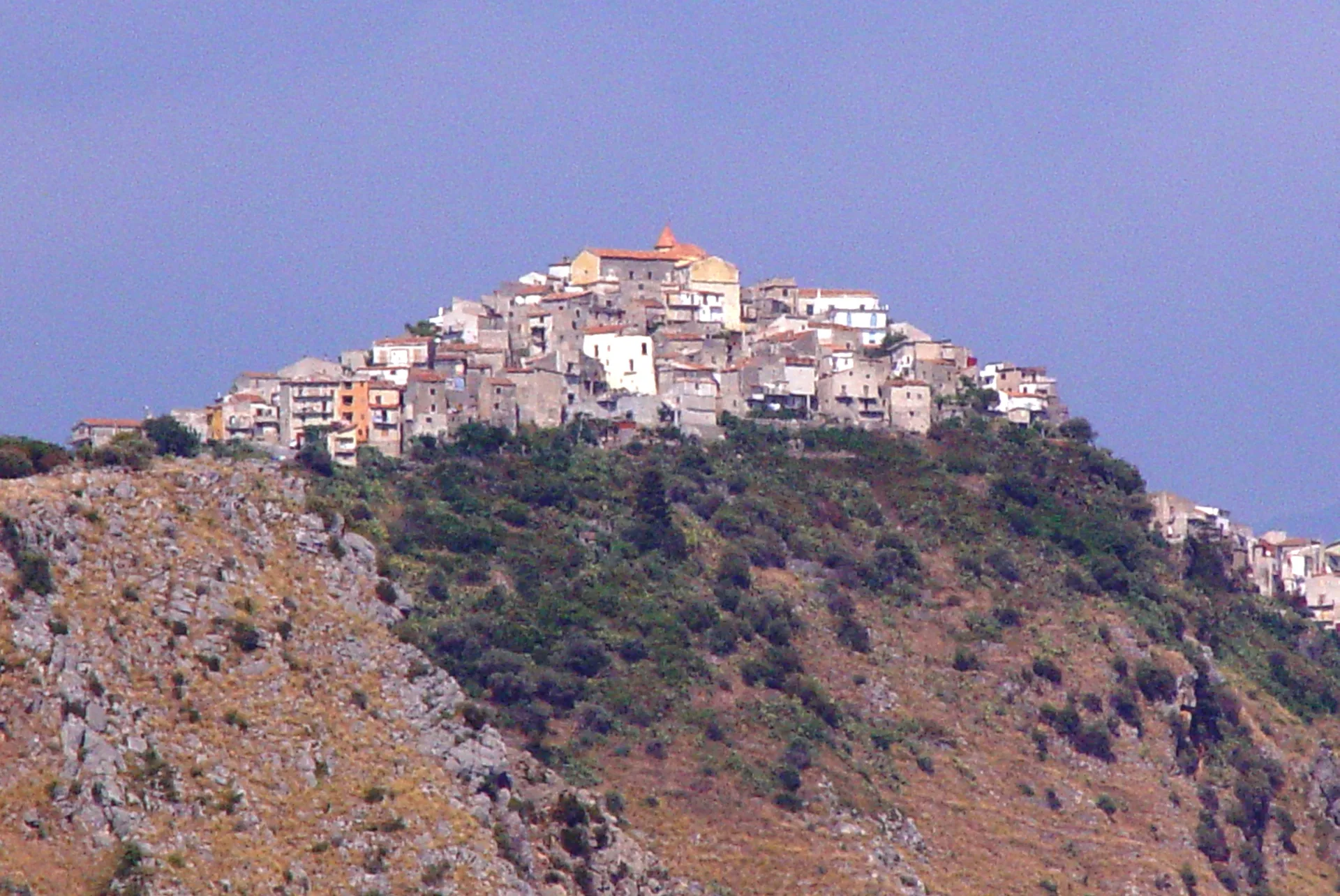 Grisolia